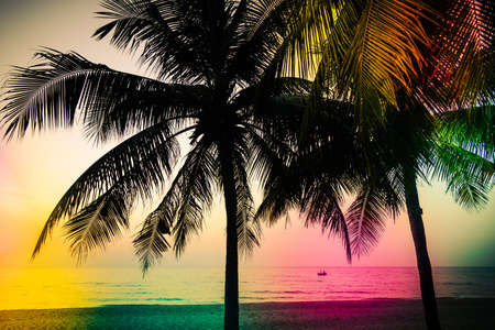 Silhouette palm tree - vintage filterの写真素材