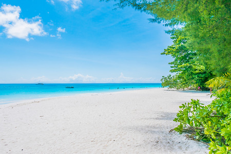 Beautiful tropical beach and sea backgroundの写真素材