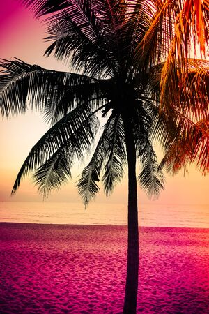 Silhouette palm tree - vintage filterの写真素材