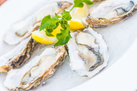 Selective focus point on fresh oysters shell with lemonの写真素材