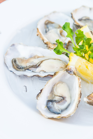 Selective focus point on fresh oysters shell with lemonの写真素材