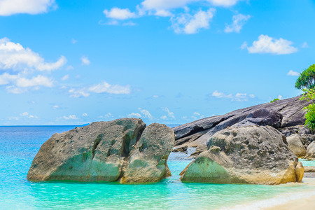 Beautiful tropical beach and sea with palm tree on blue sky backgroundの写真素材