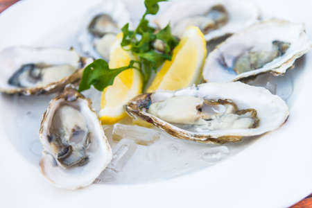 Selective focus point on fresh oysters shell with lemonの写真素材