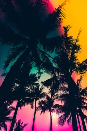 silhouette palm tree - vintage effect filter and light leak filter effectの写真素材