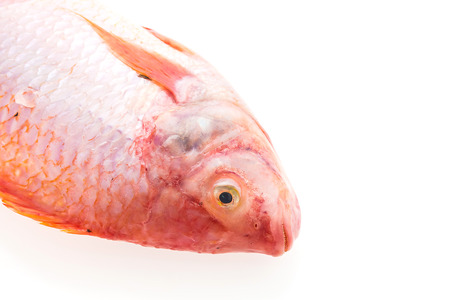 Raw fresh fish isolated on white の写真素材