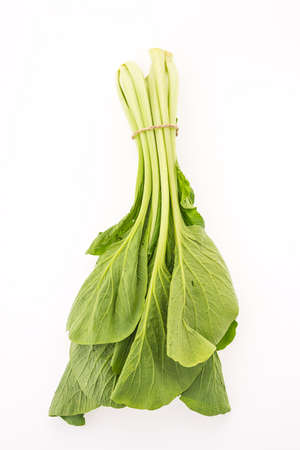 Chinese kale vegetables isolated on white backgroundの写真素材