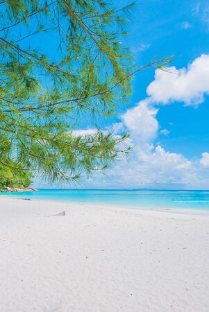 Beautiful tropical beach and sea backgroundの写真素材