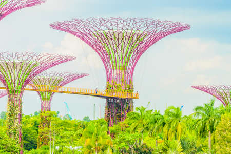 Garden by the bay at singaporeのeditorial素材