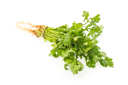 green coriander vegetables isolated on white backgroundの写真素材