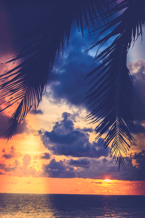 Silhouette palm tree on the beach with sunset - vintage filter and light leak effect processing styleの写真素材