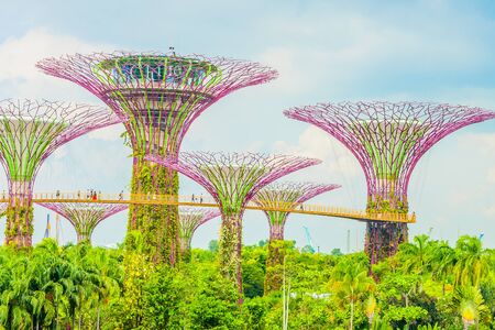 Garden by the bay at singaporeのeditorial素材
