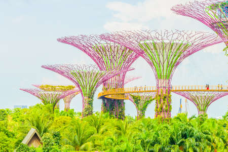 Garden by the bay at singaporeのeditorial素材