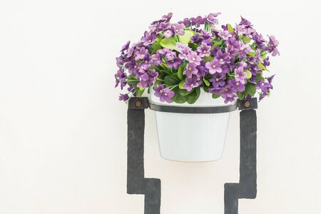 Flower vase on white wall backgroundの写真素材
