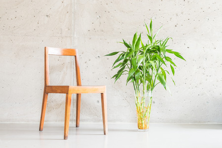 Beautiful luxury wooden chair decoration on empty wall with vase plantの写真素材