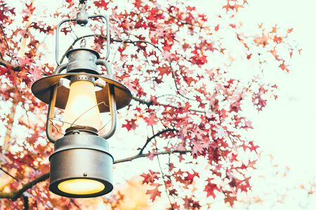 Old lantern with outdoor view in autum season - vintage filterの写真素材