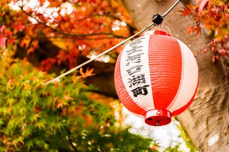 Japan lantern with maple tree background - Boost color up processingのeditorial素材