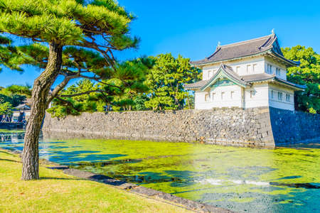 Beautiful Imperial palace building in tokyo japanのeditorial素材