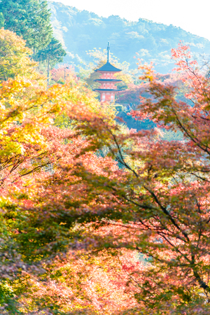 Kiyomizu or Kiyomizu-dera temple in autum season at Kyoto Japanのeditorial素材