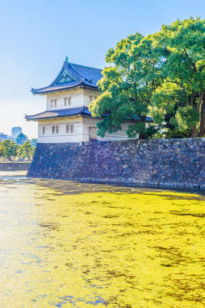 Beautiful Imperial palace building in tokyo japanのeditorial素材