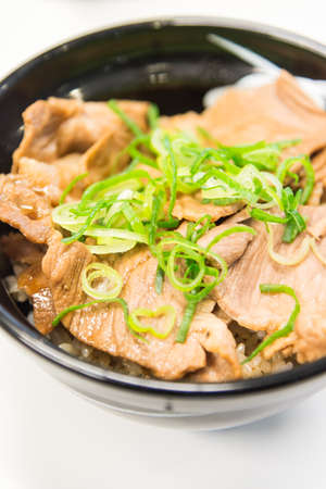 Fried Pork with sweet sauce on top of rice bowl - Japanese style foodの写真素材