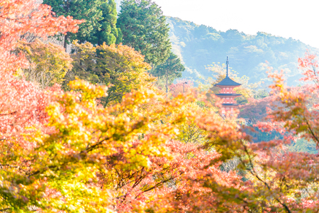 Kiyomizu or Kiyomizu-dera temple in autum season at Kyoto Japanのeditorial素材
