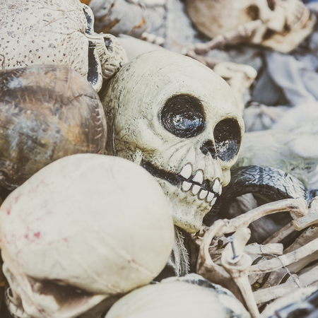Human skull - vintage filterの写真素材