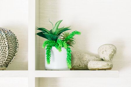 Vase Plant decoration in livingroom - Vintage filterの写真素材