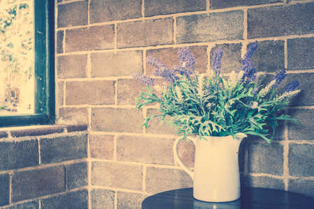 Vase plant decoration of room interior - Vintage Filterの写真素材
