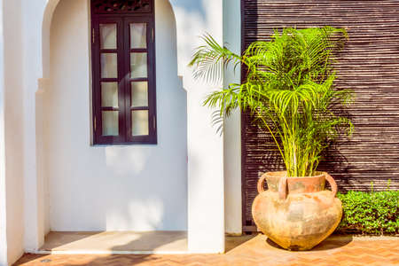 Vase Plant decoration exterior - Vintage Film filterの写真素材