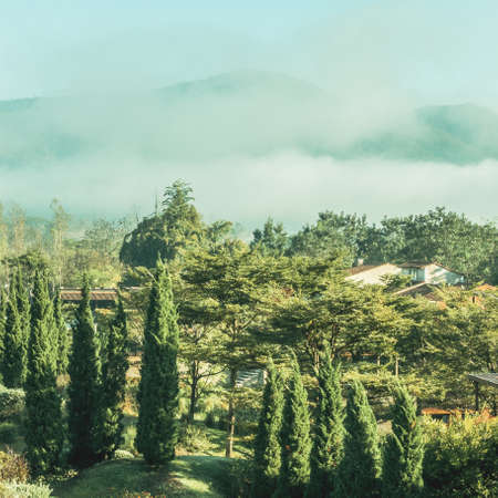 Beautiful landscape of vintage garden - Vintage Filterの写真素材