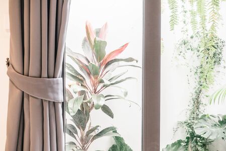 Curtain window decoration in living room interior - Vintage Filterの写真素材
