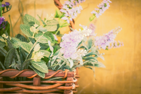 Soft focus on Vintage flower - Vintage filterの写真素材