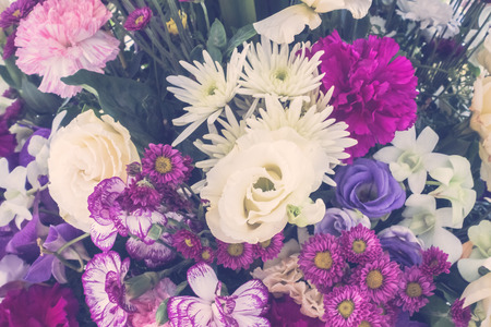 Vintage Beautiful flower for background - Vintage Filterの写真素材