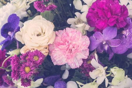 Vintage Beautiful flower for background - Vintage Filterの写真素材