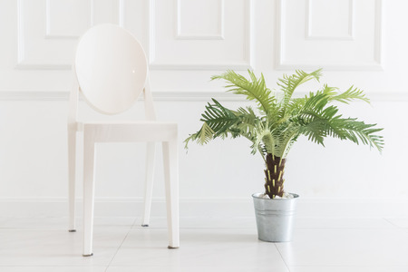 Empty chair with vase plant decoration in living room interiorの写真素材