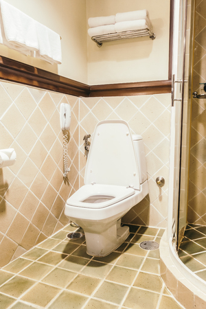 Beautiful luxury toilet seat decoration in toilet room interior - Vintage Light Filterのeditorial素材