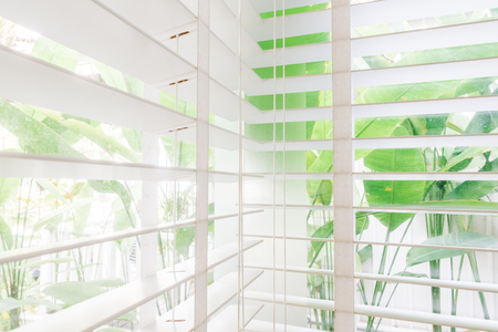 Selective focus point on Blinds window decoration in livingroom interior - Vintage Light Filterの写真素材