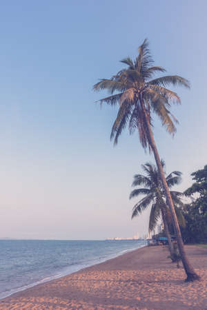 Coconut tree on the tropical beach and sea - Vintage Filter
