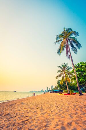 Beautiful tropical sea and beach with palm tree - Vintage Filterの写真素材