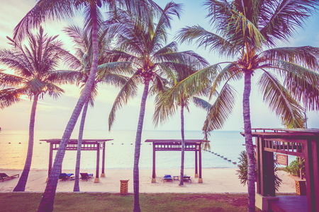 Beautiful tropical beach sea and sand with palm tree for background - Vintage Filterの写真素材