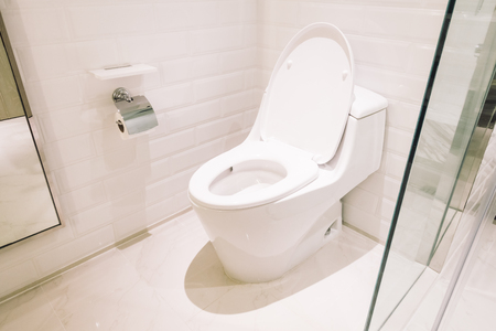White toilet seat decoration in bathroom  interior - Vintage Light Filterの写真素材