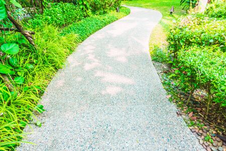 Stone path way for walking around beautiful gardenの写真素材