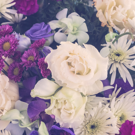 Vintage Beautiful flower for background - Vintage Filterの写真素材