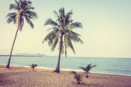 Coconut tree on the tropical beach and sea - Vintage Filterの写真素材