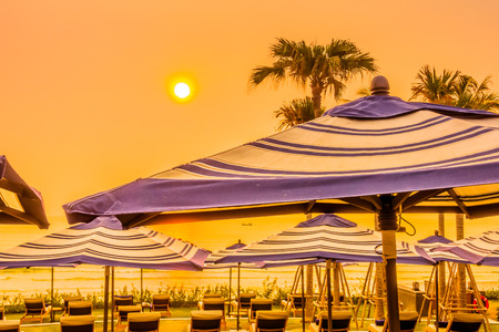 Beautiful luxury outdoor swimming pool in hotel resort with silhouette umbrella and chair and coconut palm tree - Vintage Filter and Boost up color Processingの写真素材