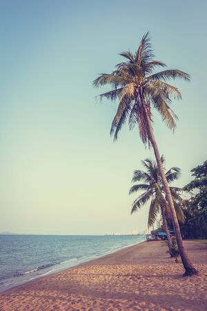 Coconut tree on the tropical beach and sea - Vintage Filterの写真素材