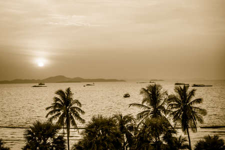 Silhouette palm trees on the beach with sunset - Vintage filter and boost up color processingの写真素材
