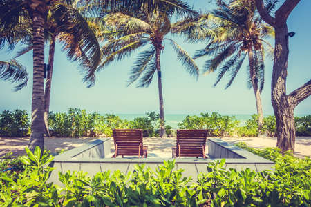 Coconut palm tree on the beach and sea - Vintage Filterの写真素材