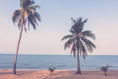 Coconut tree on the tropical beach and sea - Vintage Filterの写真素材