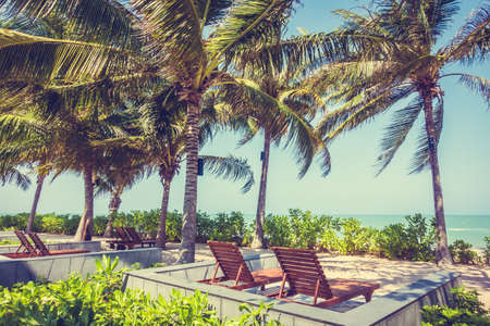 Coconut palm tree on the beach and seaの写真素材